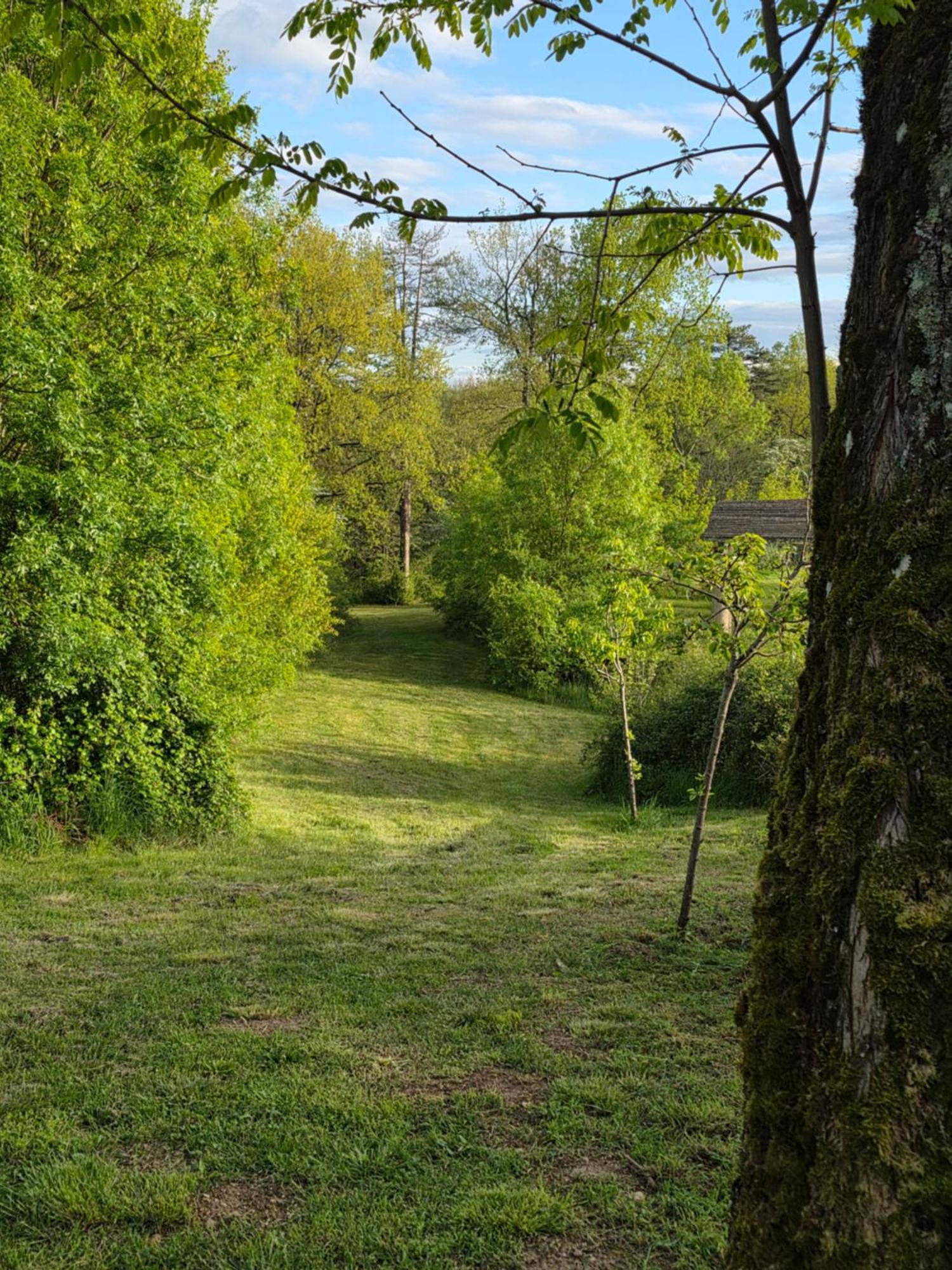 Chateau De Pourpry Damiatte Zewnętrze zdjęcie