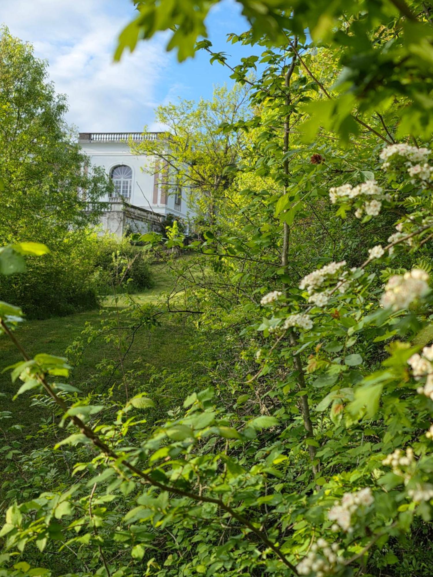 Chateau De Pourpry Damiatte Zewnętrze zdjęcie