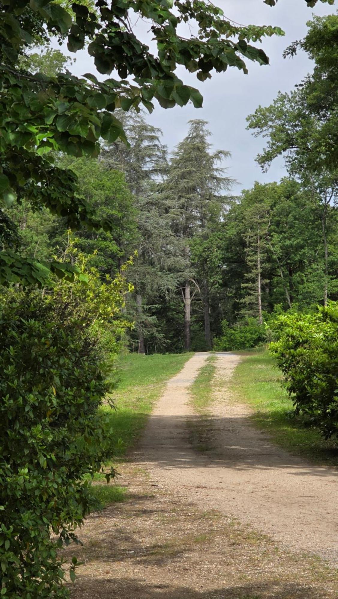 Chateau De Pourpry Damiatte Zewnętrze zdjęcie